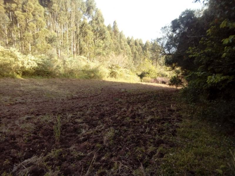 Fazenda à venda com 1 quarto, 30000m² - Foto 17