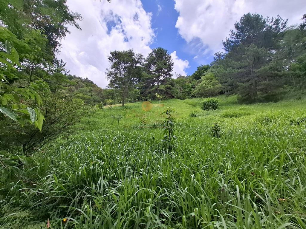 Fazenda à venda com 8 quartos, 52000m² - Foto 54