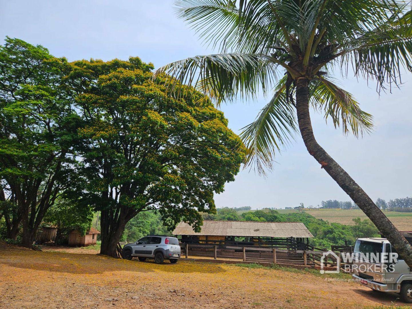 Sítio à venda com 3 quartos, 28000M2 - Foto 4