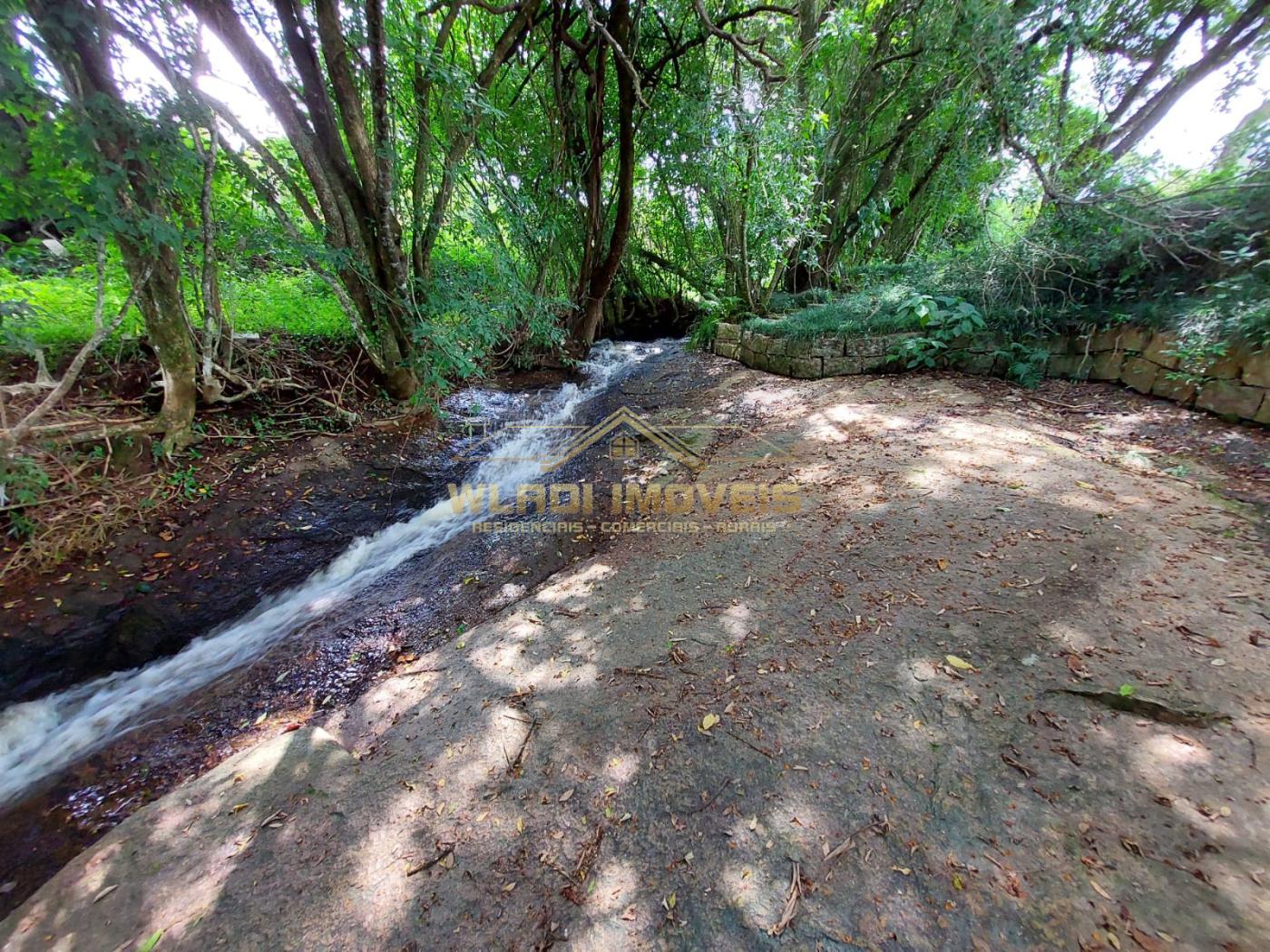 Fazenda à venda com 7 quartos, 15000m² - Foto 5