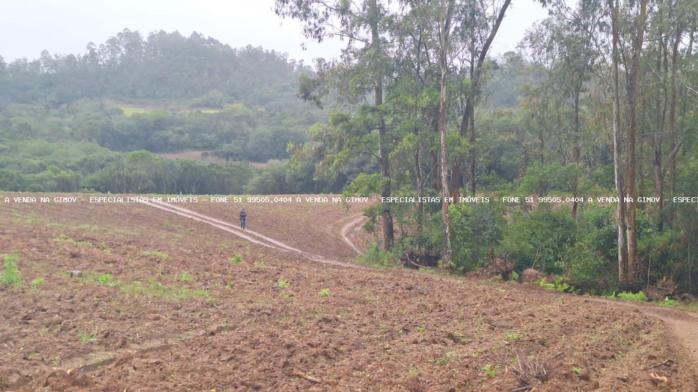 Fazenda à venda com 2 quartos, 141000m² - Foto 24