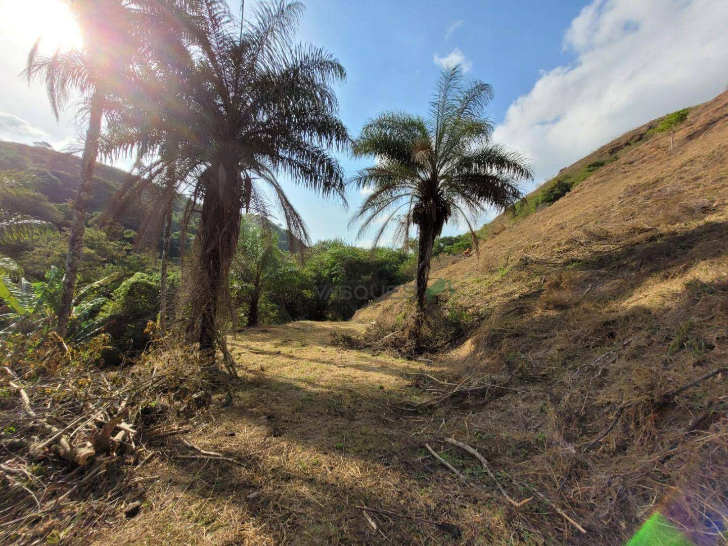 Fazenda à venda, 1292280M2 - Foto 27