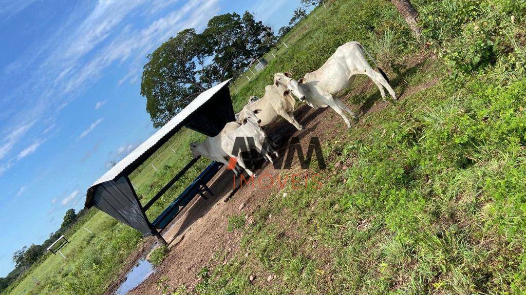 Fazenda à venda, 25180584M2 - Foto 1