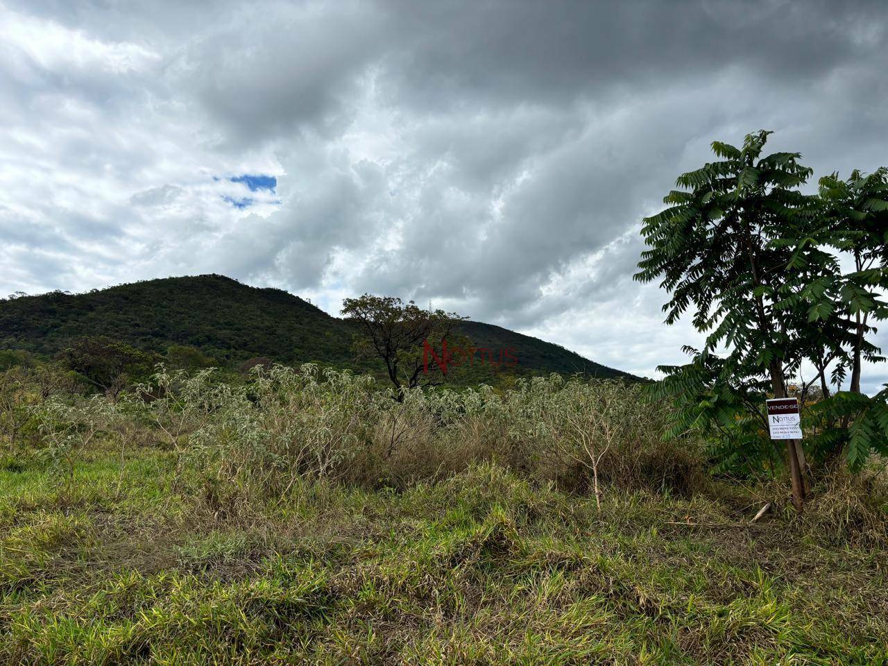 Terreno à venda, 1500M2 - Foto 1