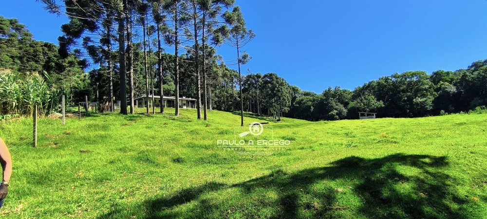 Fazenda à venda com 2 quartos, 13700m² - Foto 10