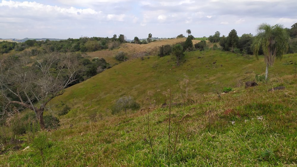 Fazenda à venda, 60m² - Foto 20