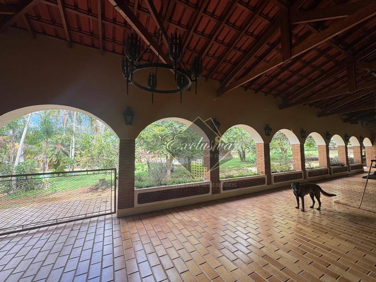 Chácara, 5 quartos, 58 hectares - Foto 4