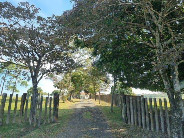 Sítio, 5 quartos, 31 hectares - Foto 5