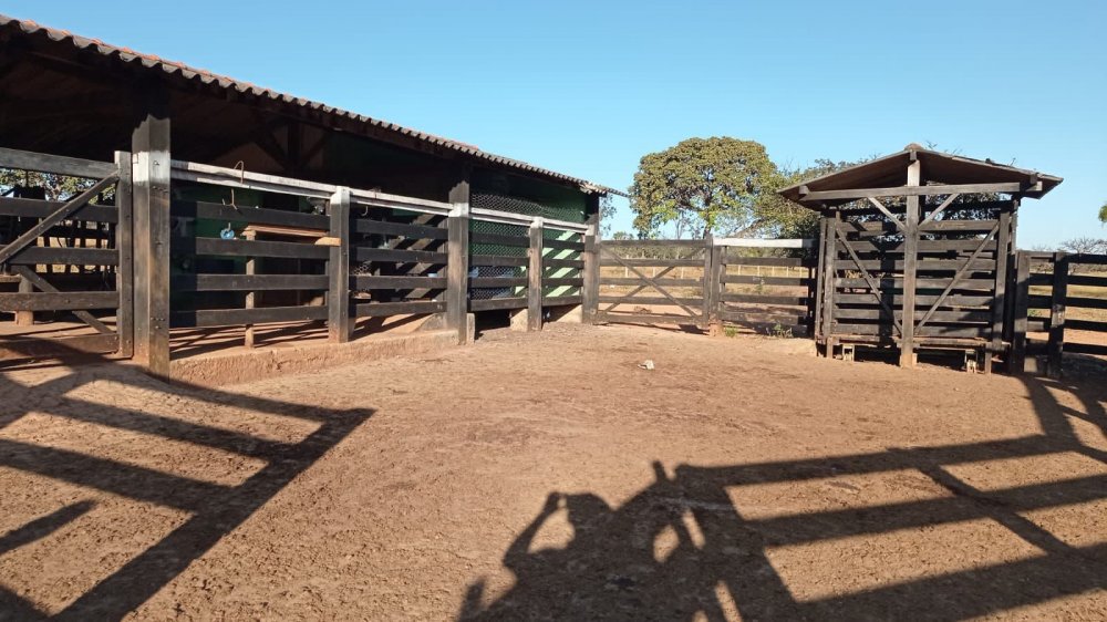 Fazenda à venda, 300m² - Foto 4