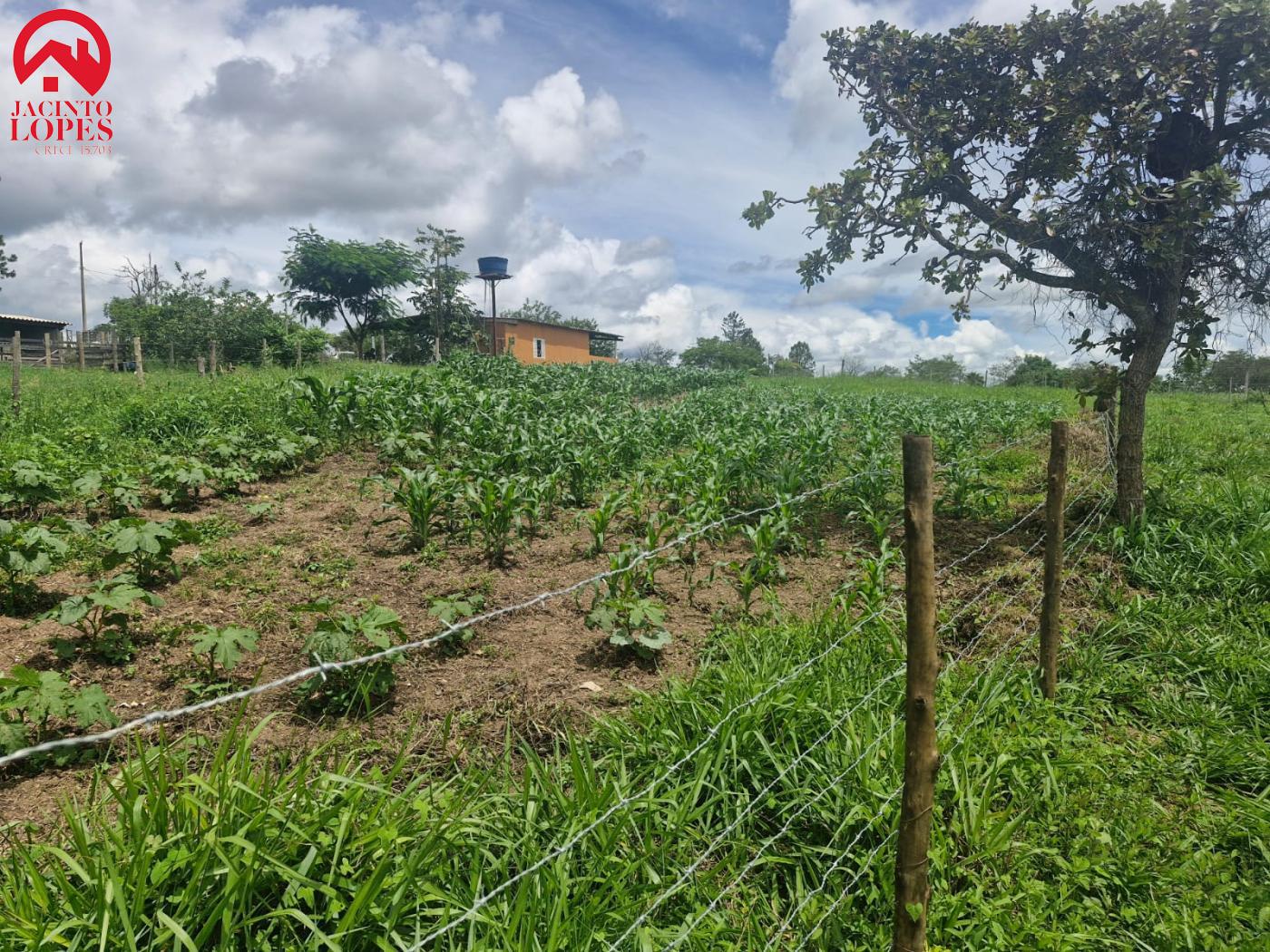 Fazenda à venda com 2 quartos, 120m² - Foto 28