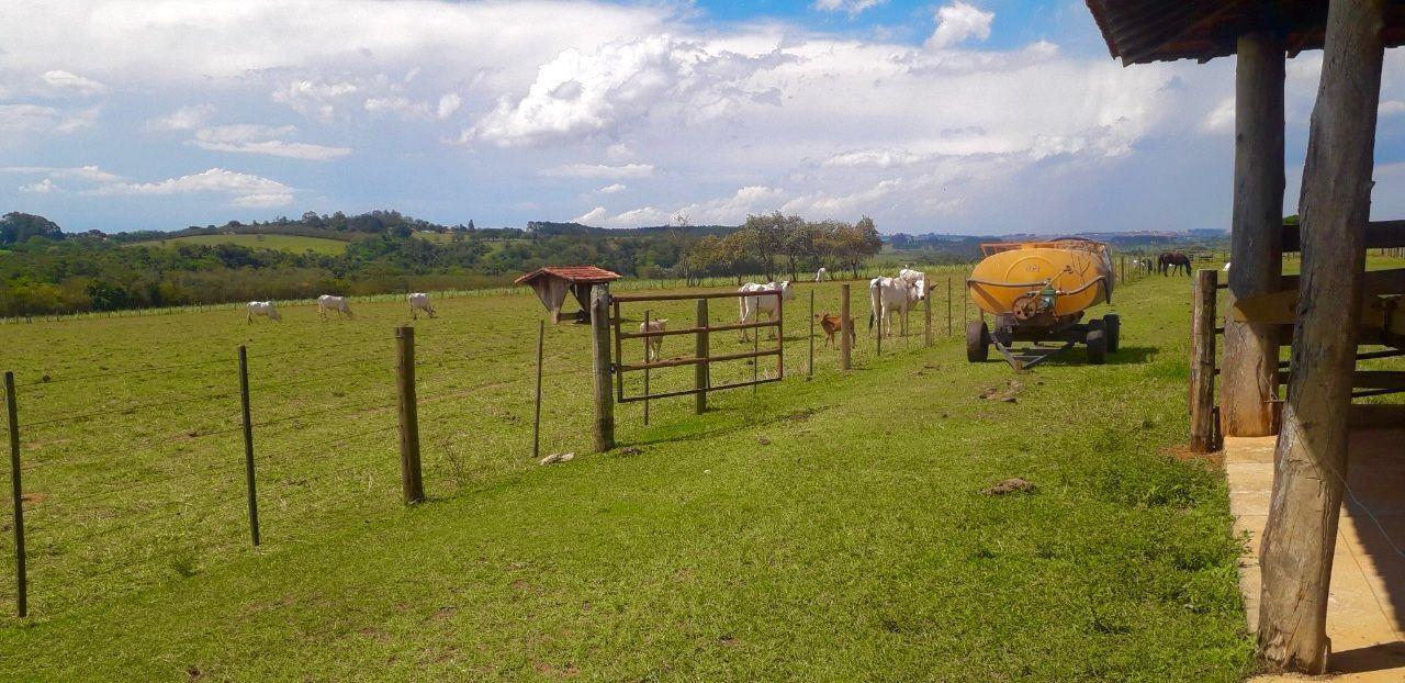 Fazenda à venda com 2 quartos, 919600m² - Foto 10