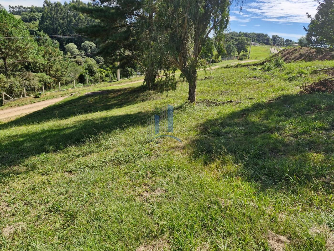 Terreno à venda, 1000m² - Foto 6