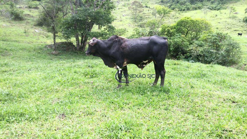 Fazenda à venda com 3 quartos, 2970000M2 - Foto 28