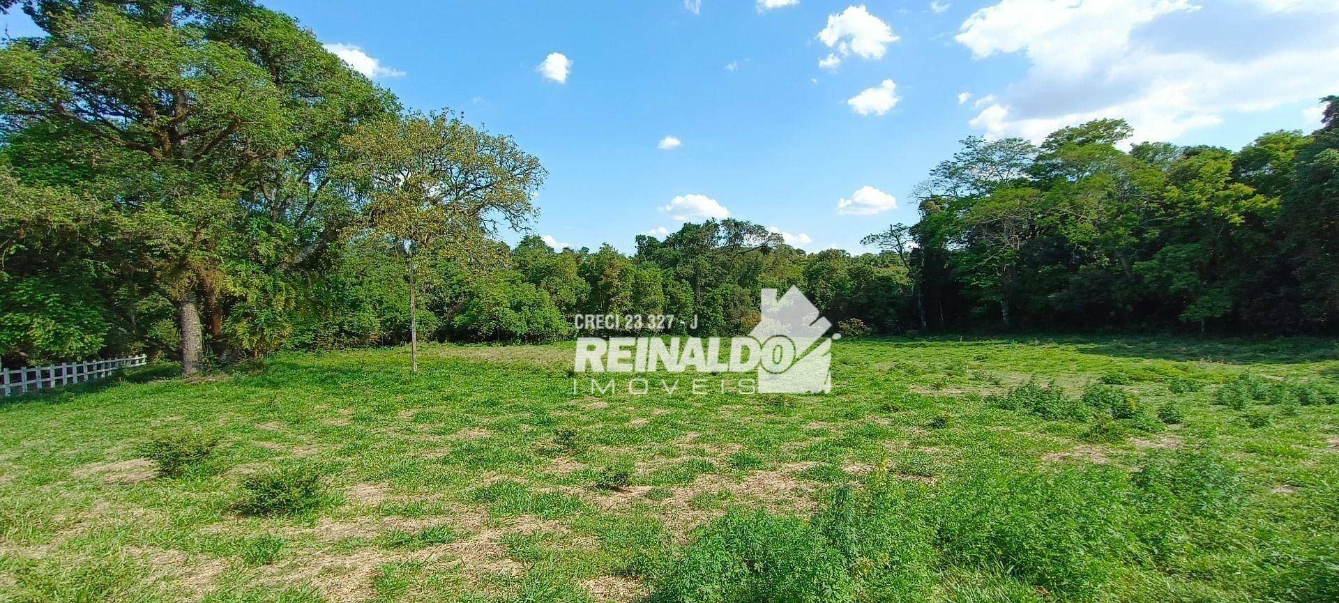 Haras e Área Rural Padrão à venda com 16 quartos, 2500m² - Foto 162