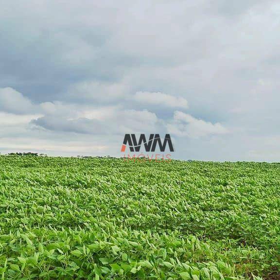 Fazenda à venda, 43560000M2 - Foto 2