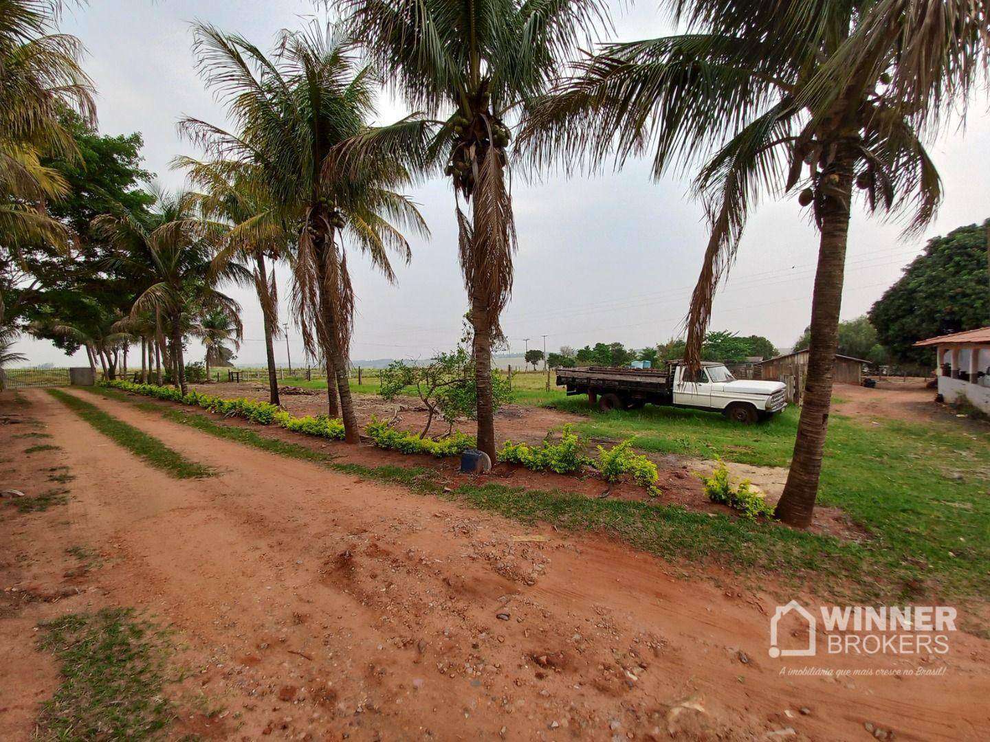 Chácara, 3 quartos, 2 hectares - Foto 2