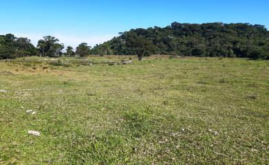 Fazenda à venda com 2 quartos, 270000m² - Foto 21