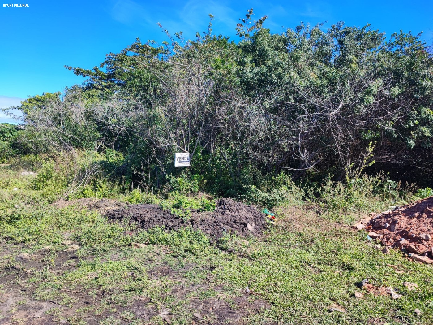 Terreno à venda, 565m² - Foto 1