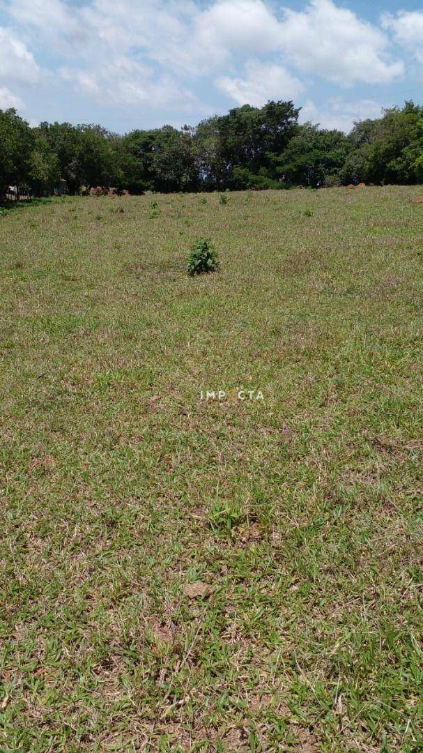 Loteamento e Condomínio à venda, 3000M2 - Foto 4