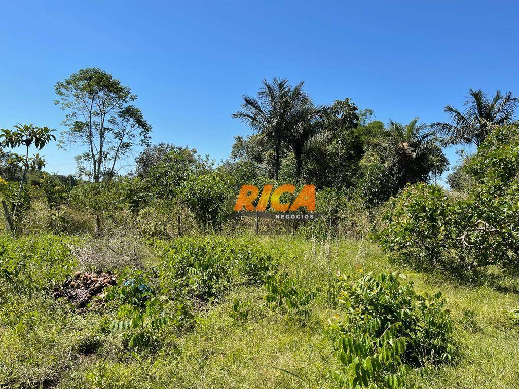 Chácara, 3 quartos, 2 hectares - Foto 4