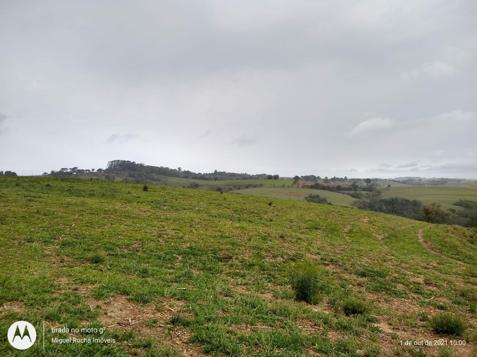 Fazenda à venda com 8 quartos, 3146000m² - Foto 15