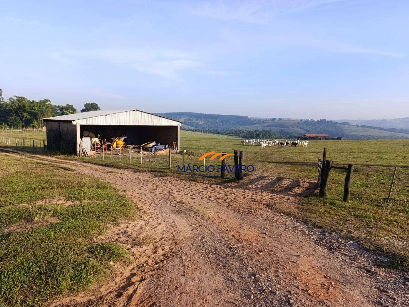 Sítio, 61 hectares - Foto 5