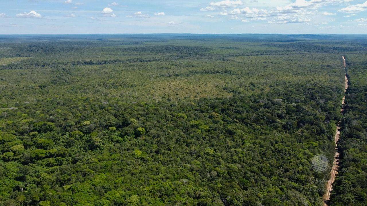 Fazenda à venda, 53620000M2 - Foto 1