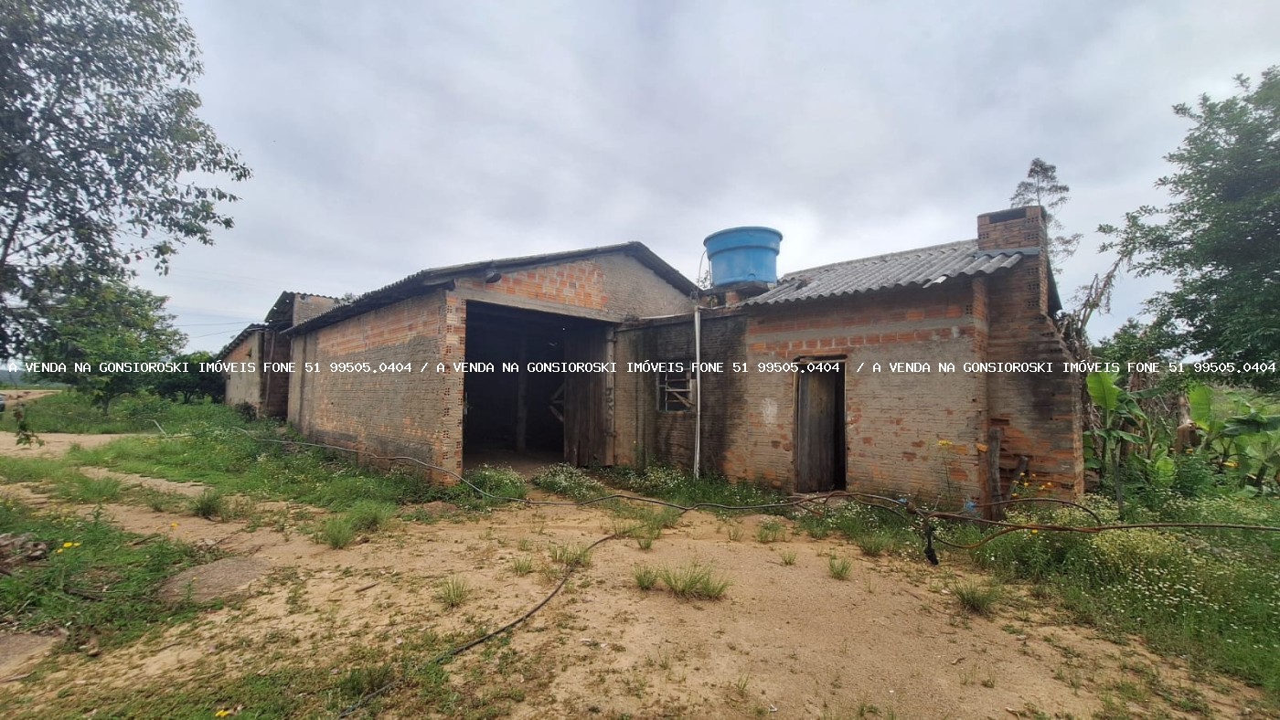 Sítio, 4 quartos, 3 hectares - Foto 36