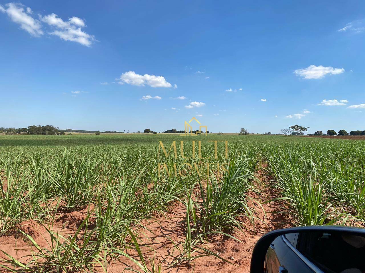 Fazenda à venda com 3 quartos, 556600M2 - Foto 10