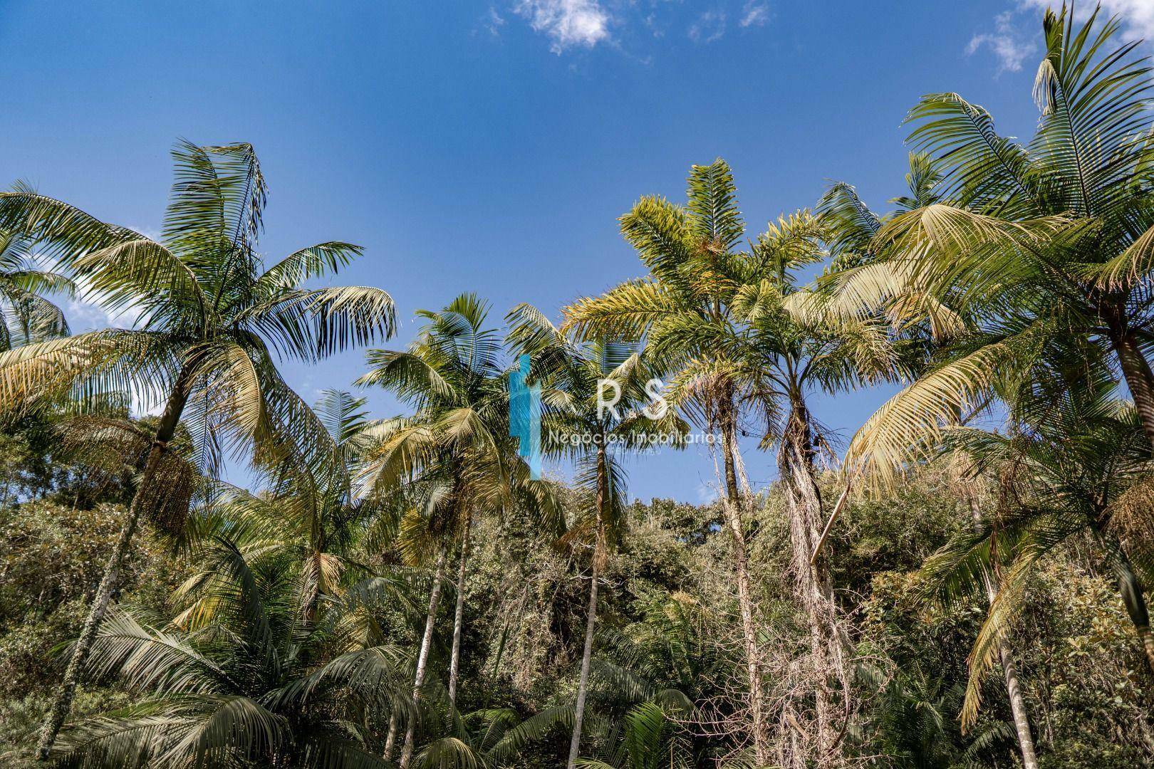 Sítio à venda com 6 quartos, 847000M2 - Foto 119