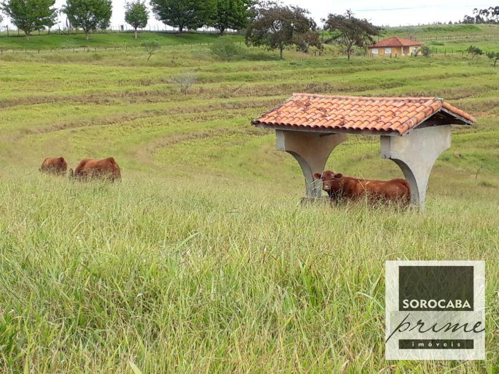 Fazenda-Sítio-Chácara, 27 hectares - Foto 4