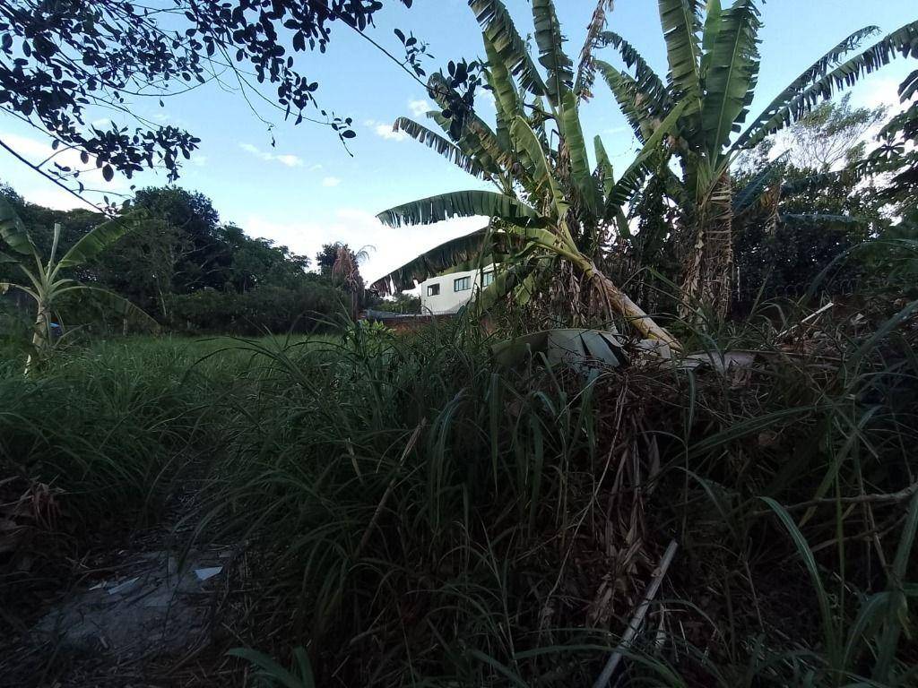 Terreno, 1000 m² - Foto 10