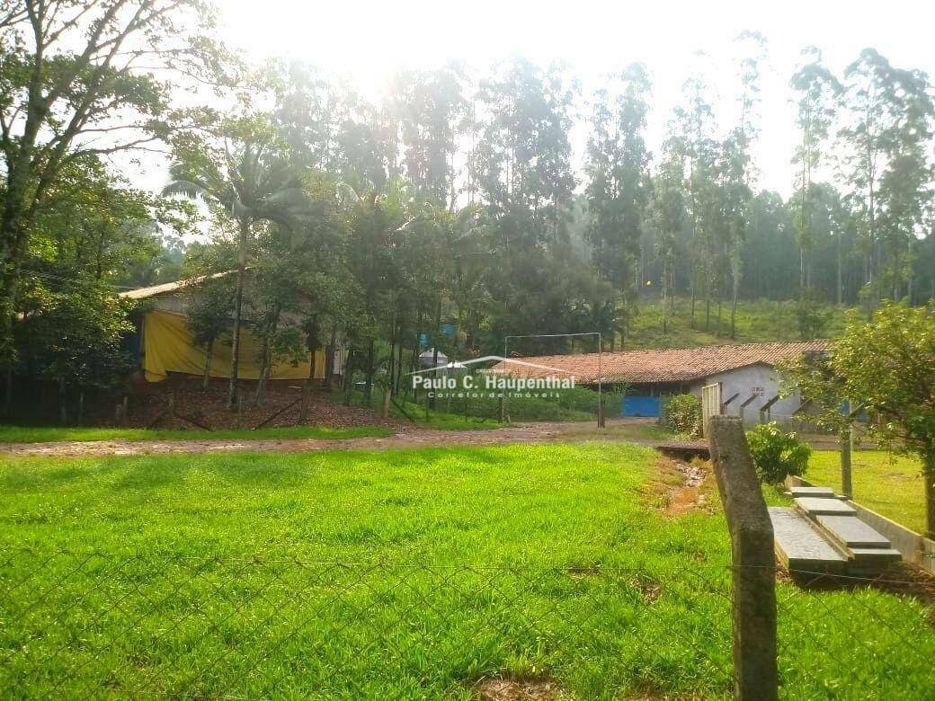 Sítio à venda com 4 quartos, 15000M2 - Foto 14