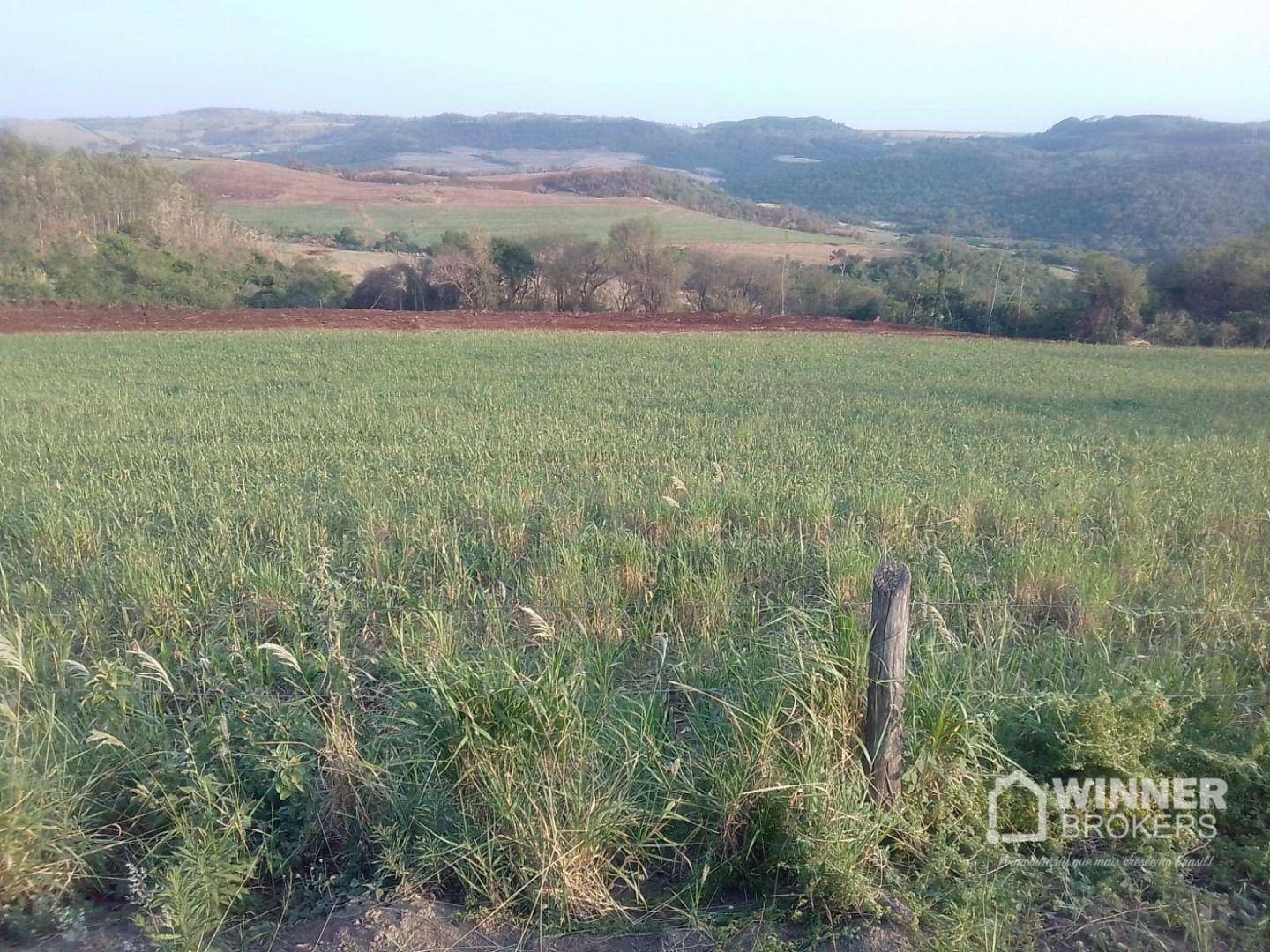 Fazenda à venda, 1379400M2 - Foto 17