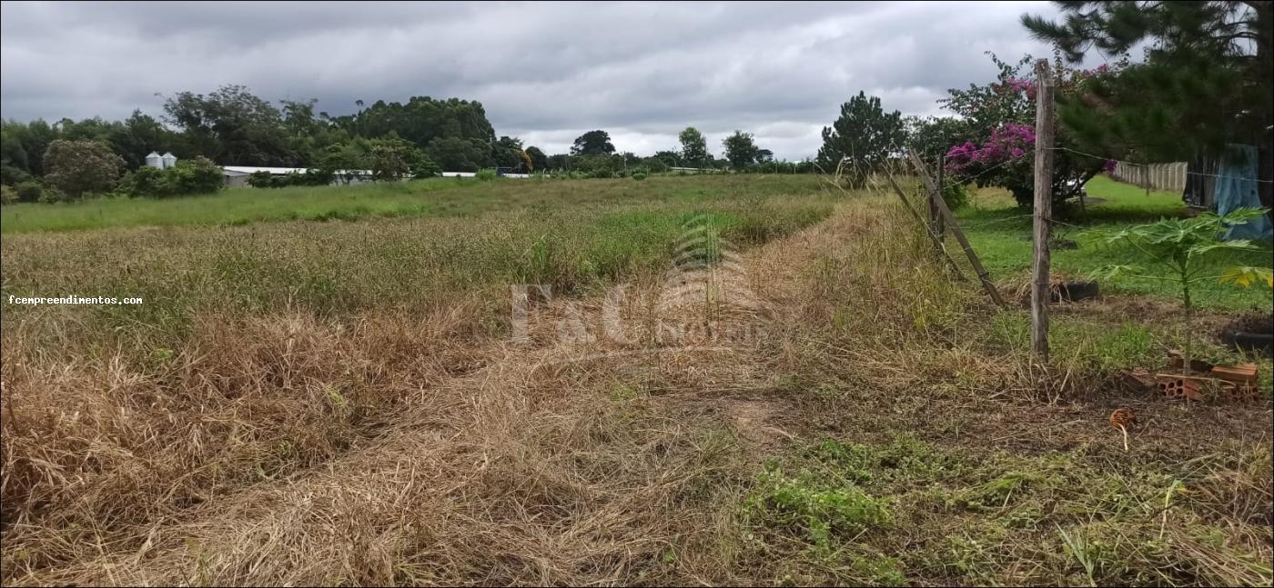 Terreno à venda, 64000m² - Foto 14