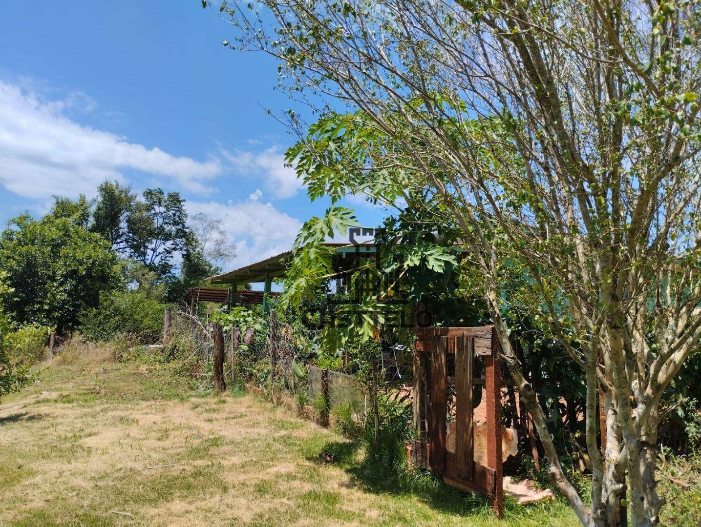 Chácara à venda com 3 quartos, 16720M2 - Foto 18