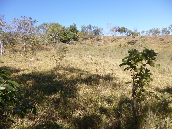 Fazenda à venda - Foto 5
