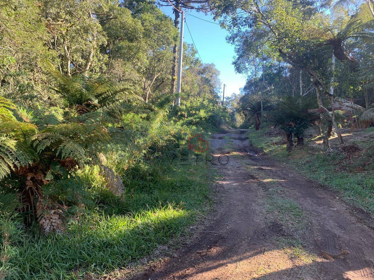 Loteamento e Condomínio à venda, 427M2 - Foto 3