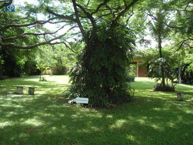 Sítio à venda com 7 quartos, 500m² - Foto 7