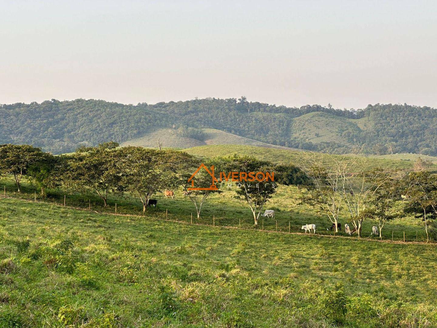 Fazenda à venda com 2 quartos, 300m² - Foto 5