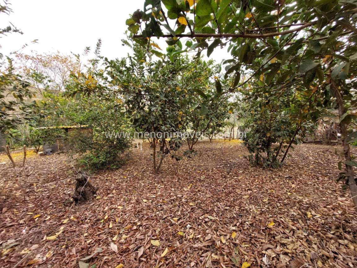 Chácara à venda com 3 quartos, 7500m² - Foto 10