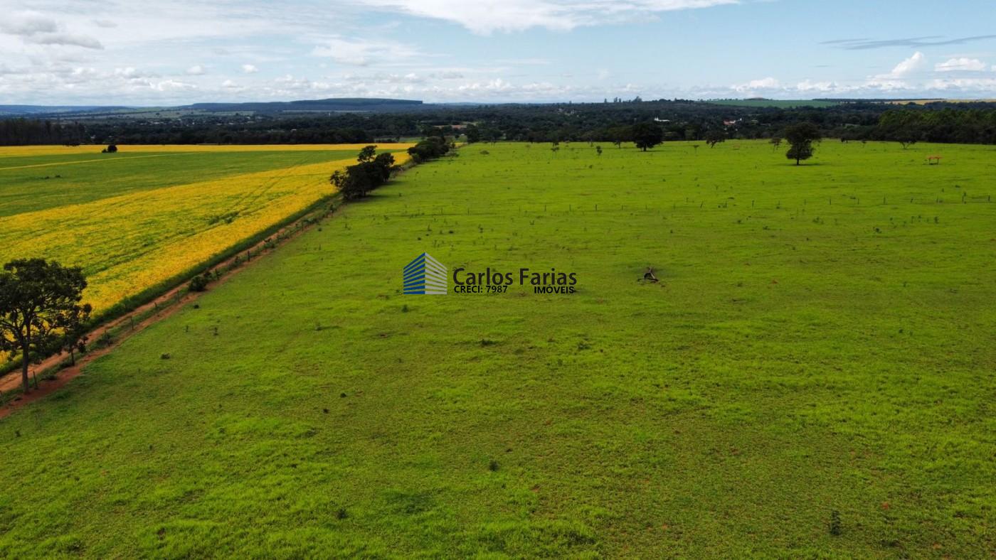 Fazenda à venda com 3 quartos, 230m² - Foto 23