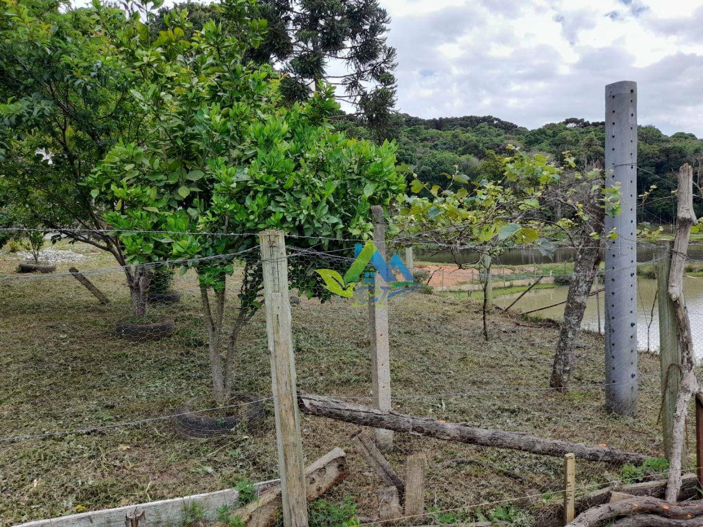 Sítio à venda, 140m² - Foto 42