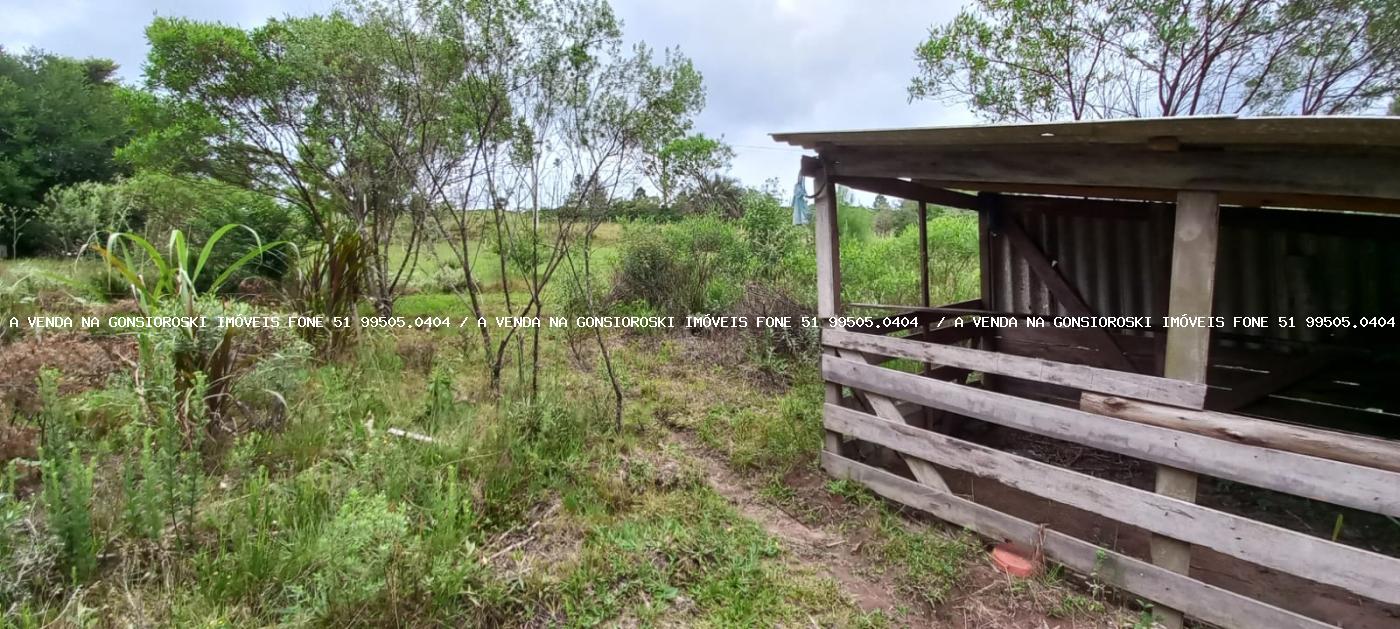Sítio à venda com 3 quartos, 3m² - Foto 7