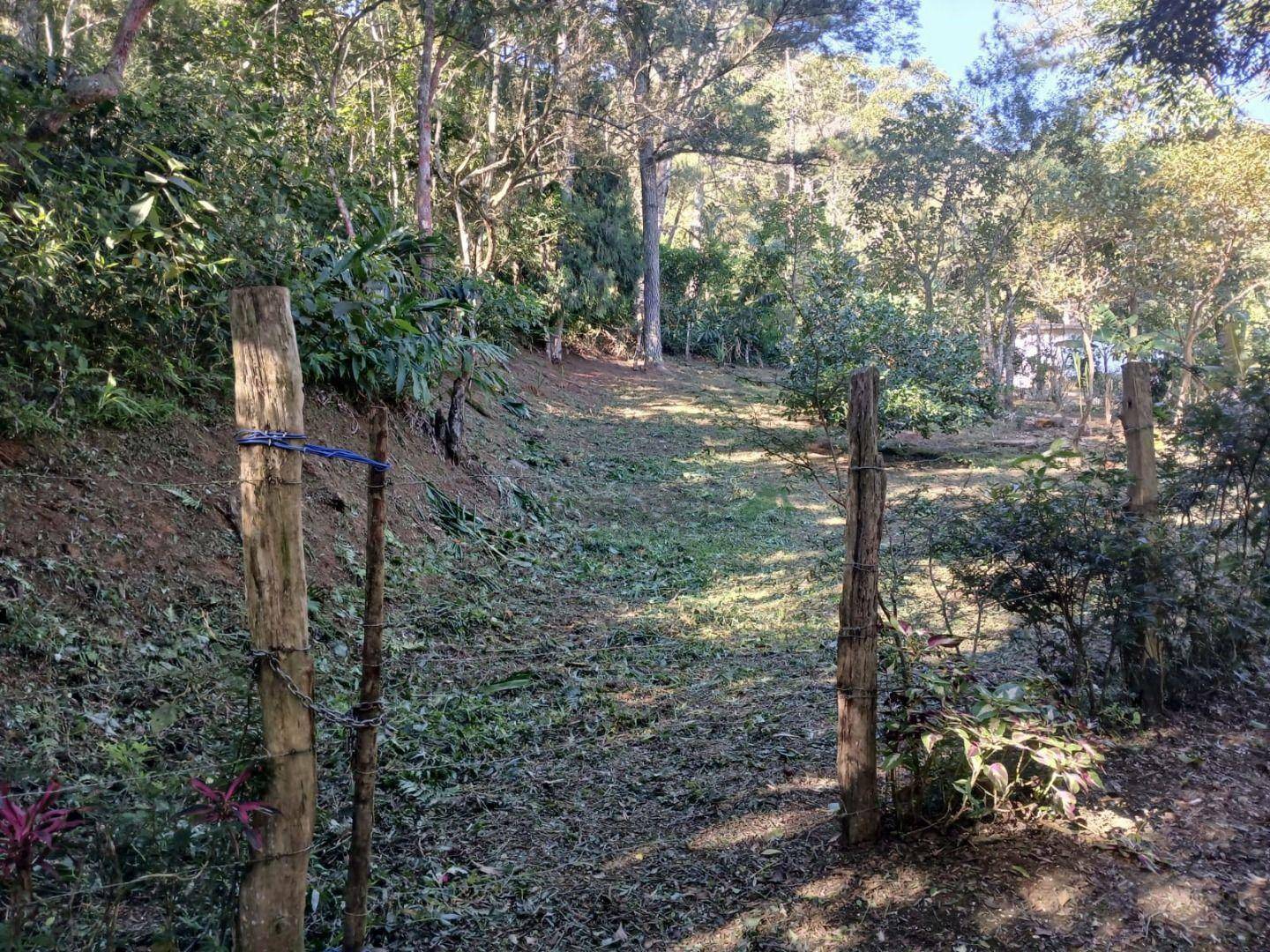 Terreno à venda, 214396M2 - Foto 8