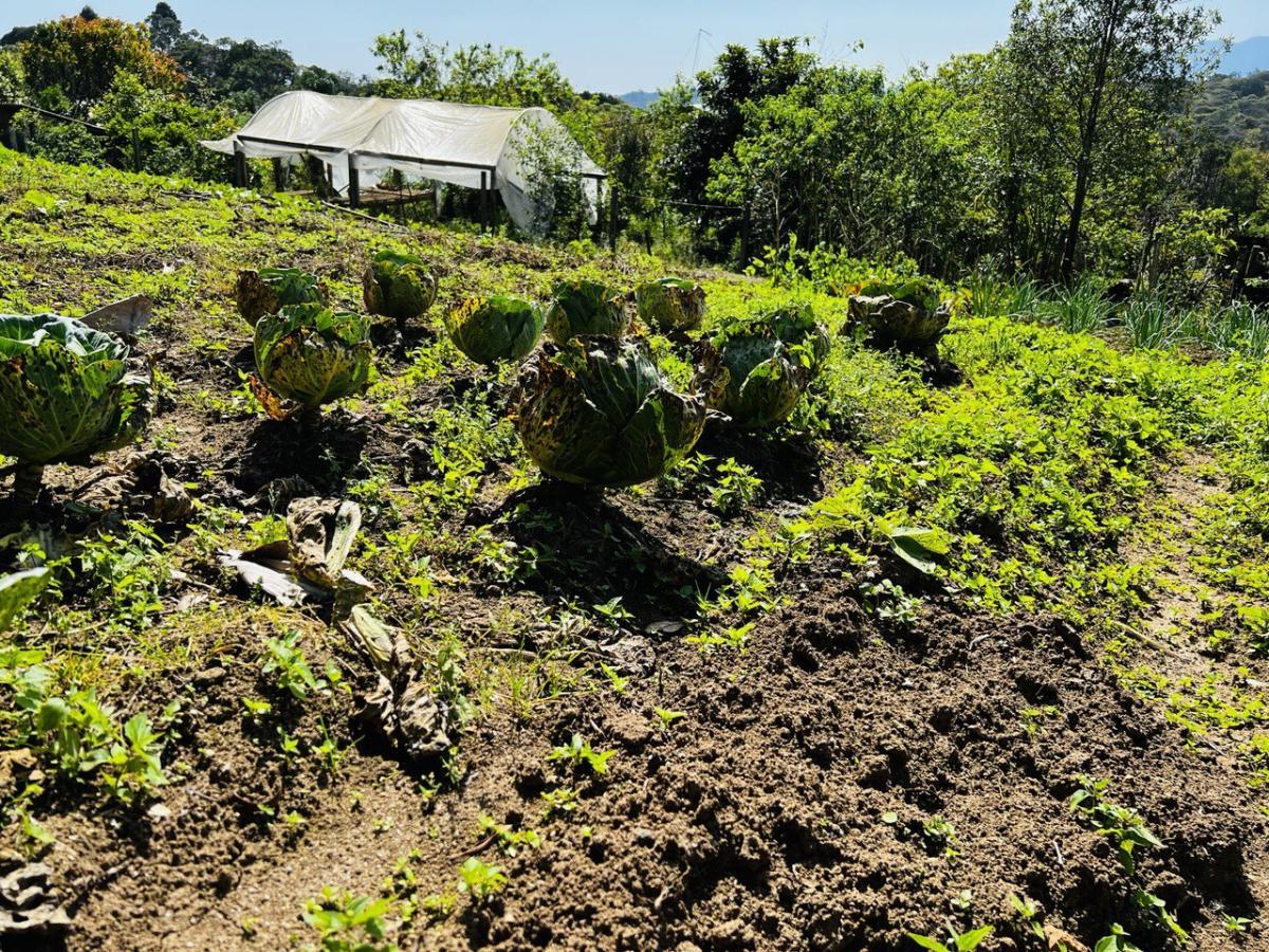 Fazenda à venda, 6300m² - Foto 37