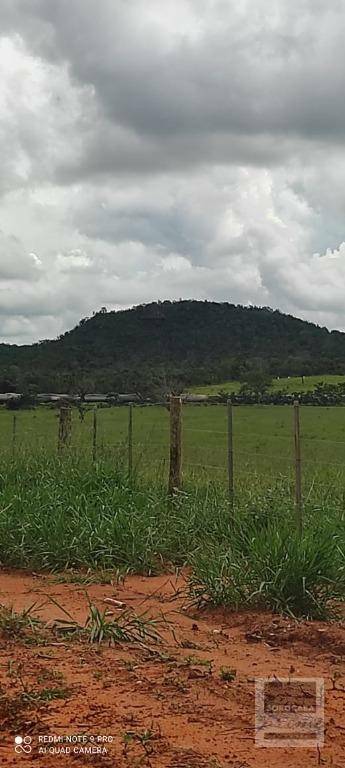 Fazenda-Sítio-Chácara, 2679 hectares - Foto 2