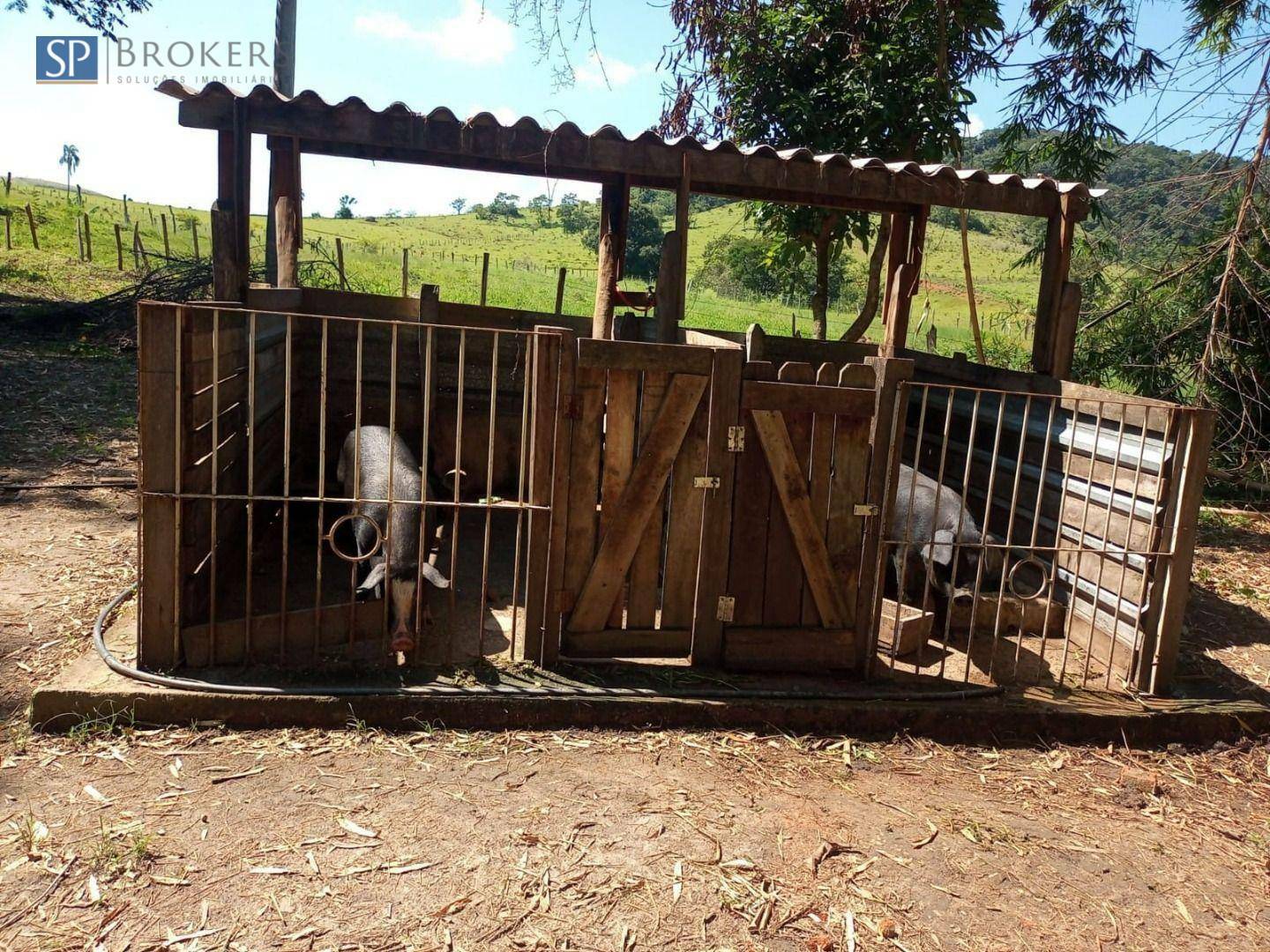 Chácara à venda com 4 quartos, 300m² - Foto 19