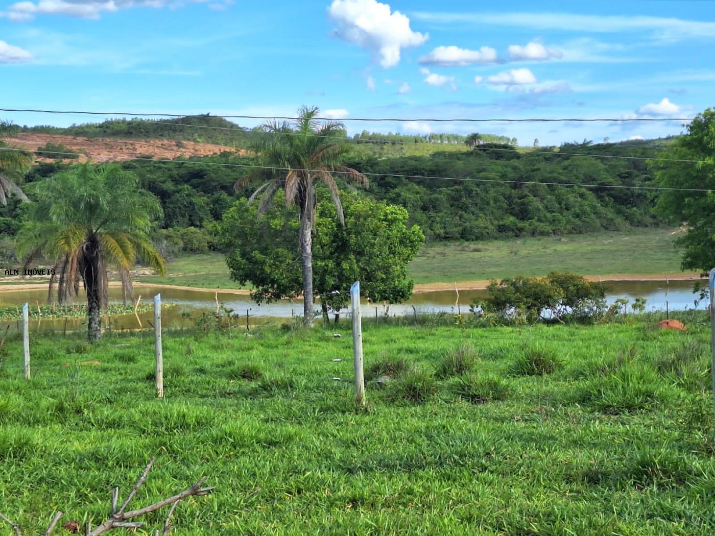 Fazenda à venda, 26000m² - Foto 7