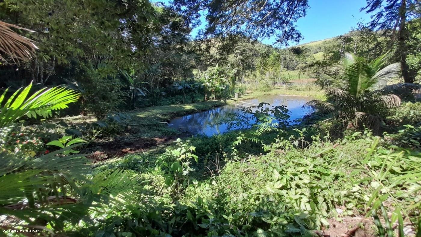 Fazenda à venda, 96000m² - Foto 7